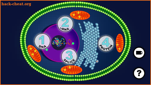 DNA Decoder screenshot