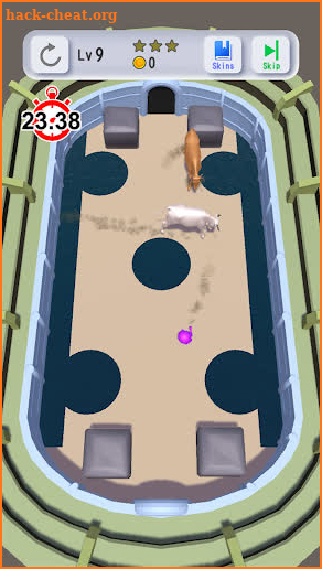 Dodge Bullfighter screenshot