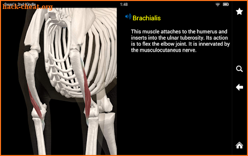 Dog Anatomy: Canine 3D screenshot