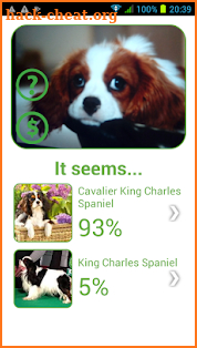 Dog Breed Auto Identify Photo screenshot