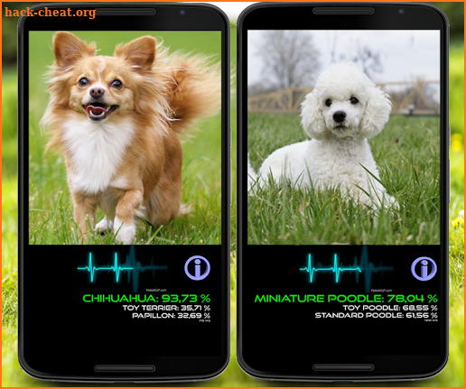 Dog Breed Identification AR screenshot