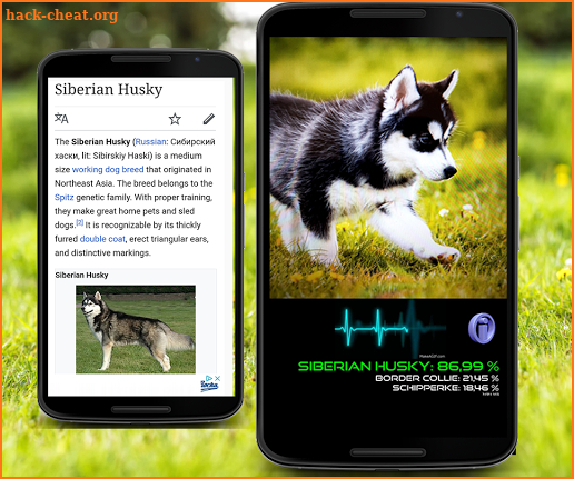 Dog Breed Identification AR screenshot