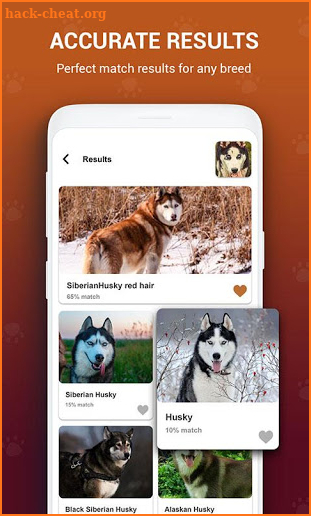 Dog Breed identifier, Scanner by Photo Camera 2019 screenshot