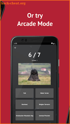 Dog Breeds: Quiz screenshot