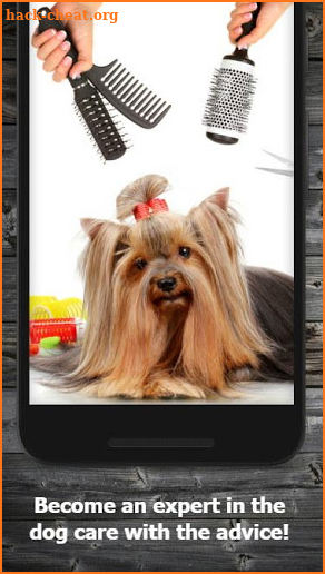 Dog Care & Grooming screenshot