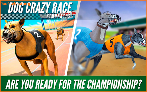 Dog Crazy Race Simulator screenshot