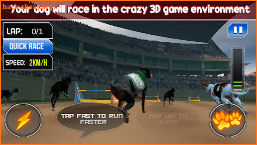 Dog Crazy Race Simulator 2019 screenshot