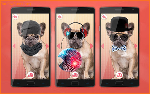 Dog Dress Up Photo Montage screenshot