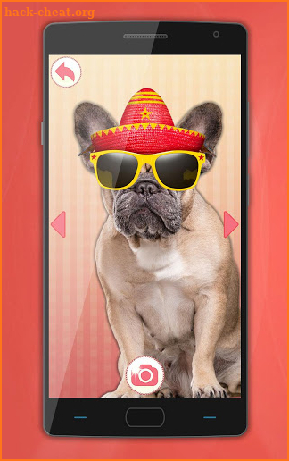 Dog Dress Up Photo Montage screenshot