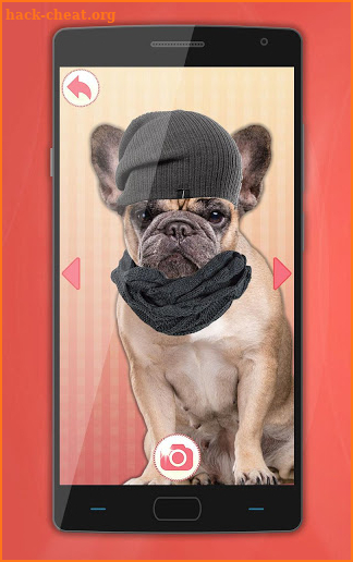 Dog Dress Up Photo Montage screenshot