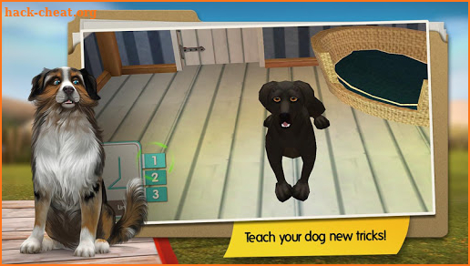 Dog Hotel Premium – Play with cute dogs screenshot