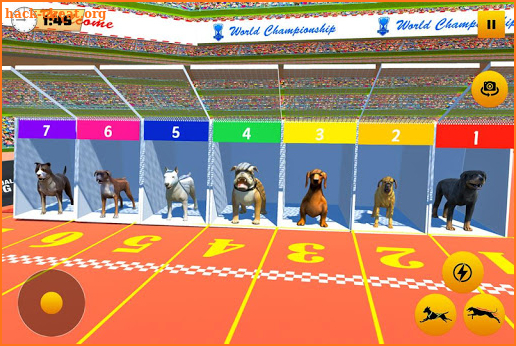 Dog Race Sim 2019: Dog Racing Games screenshot