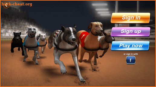 Dog Racing & Betting Online screenshot