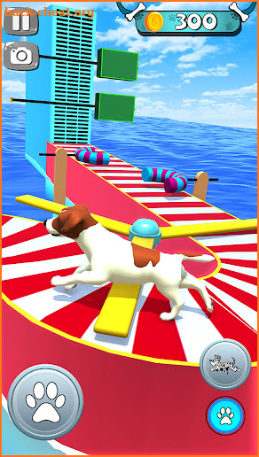 Dog Run Pet Run - Doggy Run 3D screenshot