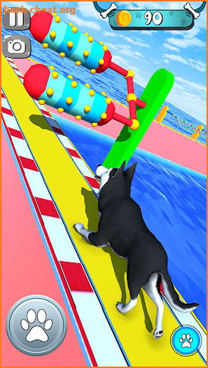 Dog Run Pet Run - Doggy Run 3D screenshot