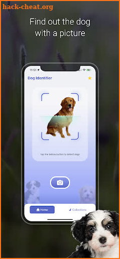 Dog Scanner - Puppy screenshot