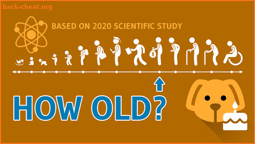 Dog's age in human years - New scientific formula screenshot