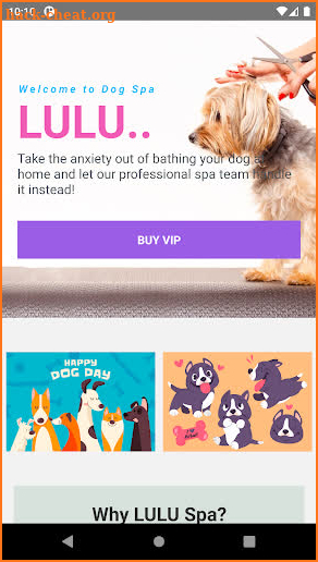 Dogs Spa screenshot