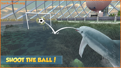 Dolphin Aquarium:  Fun Sports 3D Challenge screenshot