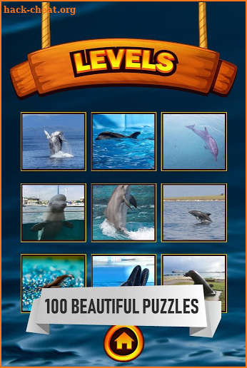 Dolphin Jigsaw Puzzle screenshot