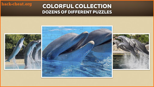 Dolphin puzzles screenshot