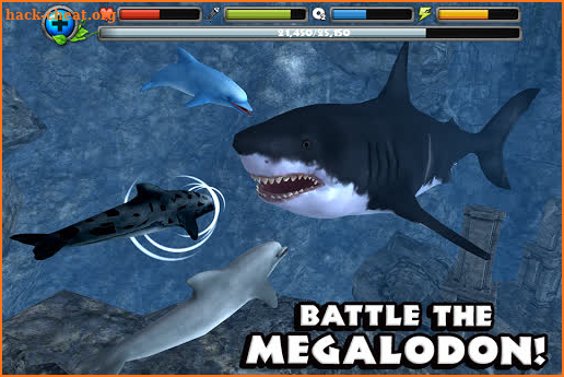 Dolphin Simulator screenshot