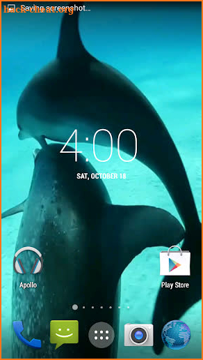 Dolphins HD. Video Wallpaper screenshot