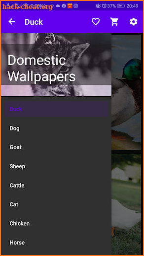 Domestic App screenshot