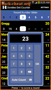 Domino Dot Counter screenshot