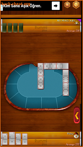 Dominoes and Mugggins screenshot