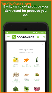 Doorganics screenshot