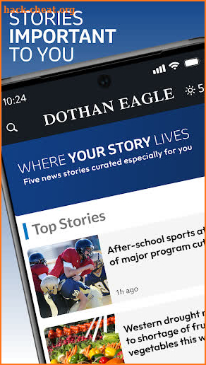 Dothan Eagle screenshot