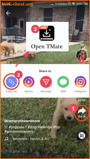 Downloader for TikTok No Watermark (TMate) screenshot