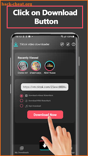 Downloader For Tiktok Video screenshot