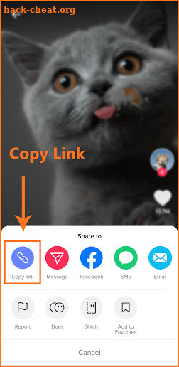 Downloader for TikTok without Watermark - TikSave screenshot