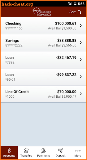 Downriver Credit Union screenshot