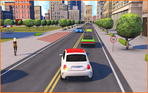 Driving School Fever screenshot