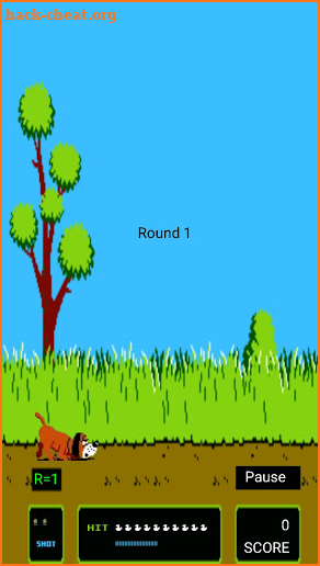 Duck Hunt Game screenshot