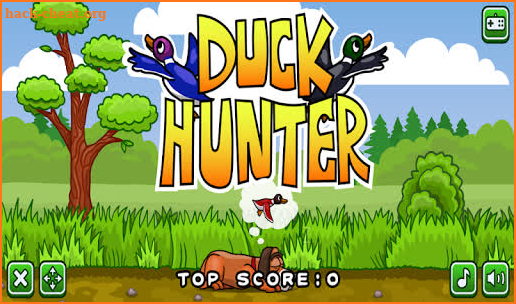 Duck Hunter screenshot