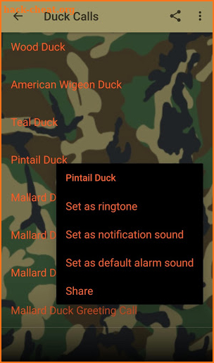 Duck Hunting Calls screenshot