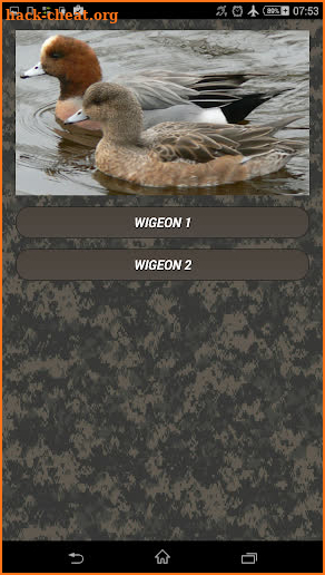 Duck hunting calls:  Waterfowl hunting sounds. HIT screenshot