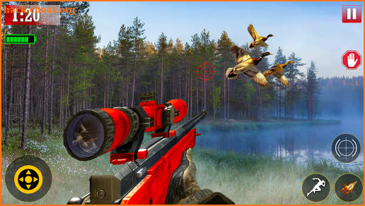 Duck Hunting: Wild Shooting 3D screenshot