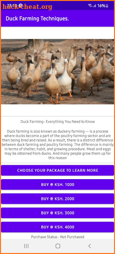 Duck Rearing screenshot