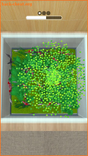 Duckweed Fix screenshot