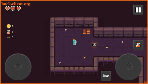 Dungeon Ninja screenshot