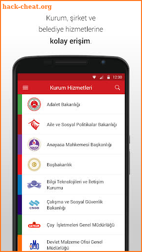 e-Devlet Kapısı screenshot