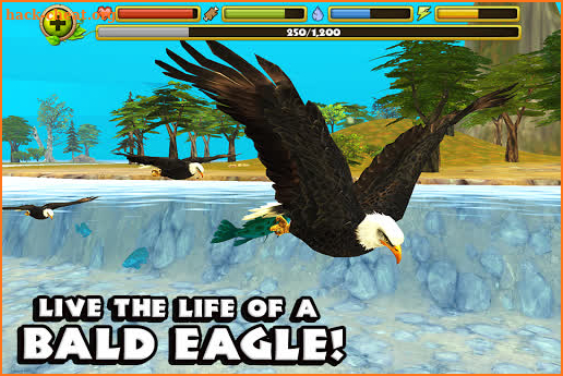 Eagle Simulator™ screenshot