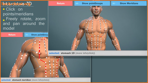 Easy Acupuncture 3D -FULL screenshot