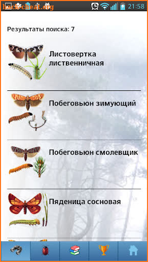 EcoGuide: Forest Insect Pests screenshot