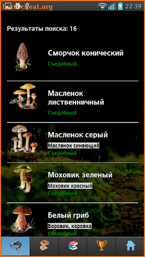 EcoGuide: Russian Fungi screenshot